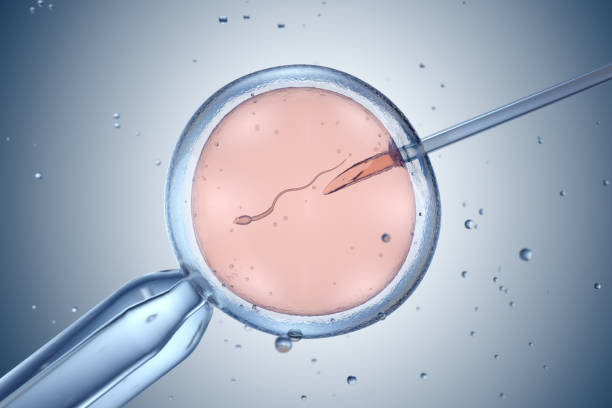 Fécondation in Vitro